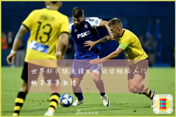 世界杯买球竞猜攻略让你轻松入门畅享赛事激情