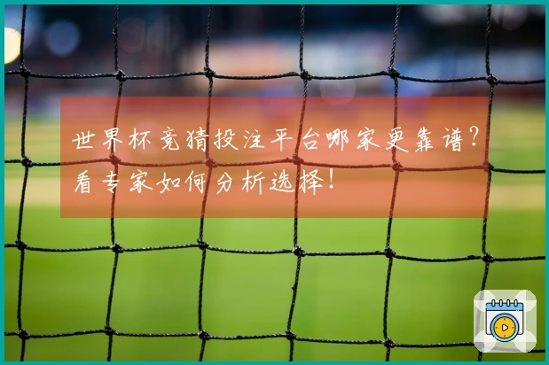 世界杯竞猜投注平台哪家更靠谱？看专家如何分析选择！