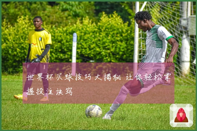 世界杯买球技巧大揭秘 让你轻松掌握投注诀窍