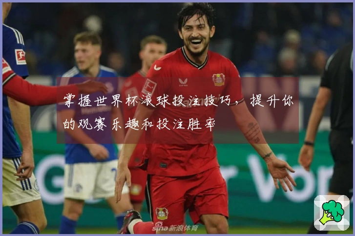掌握世界杯滚球投注技巧，提升你的观赛乐趣和投注胜率