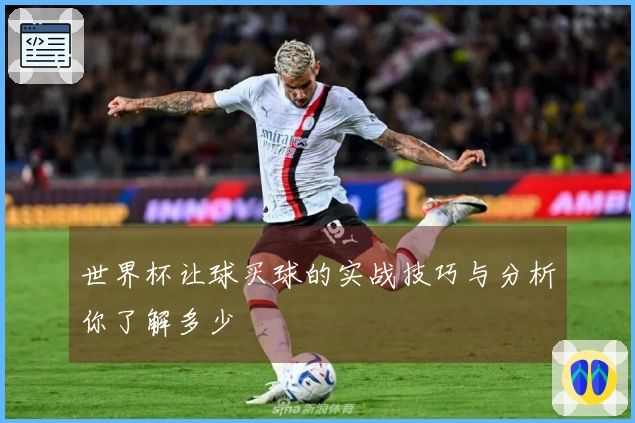 世界杯让球买球的实战技巧与分析你了解多少
