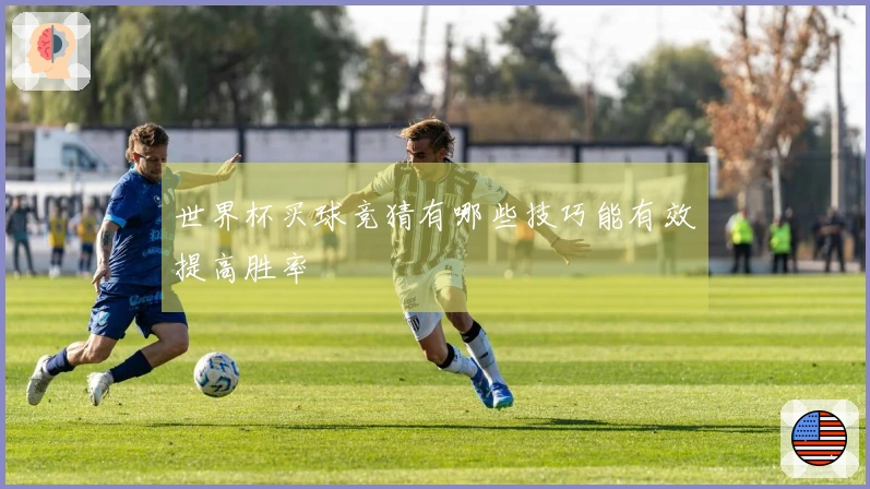世界杯买球竞猜有哪些技巧能有效提高胜率