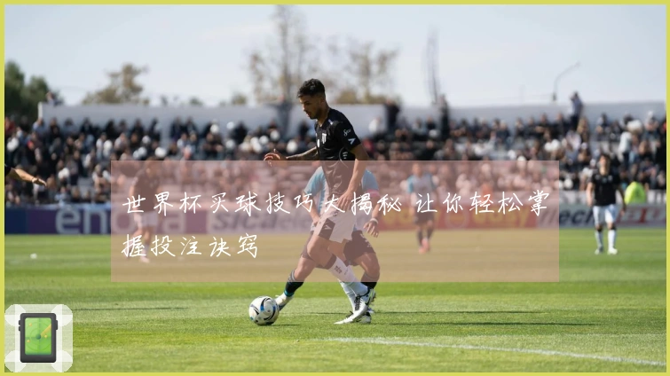 世界杯买球技巧大揭秘 让你轻松掌握投注诀窍