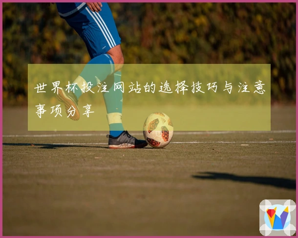 世界杯投注网站的选择技巧与注意事项分享