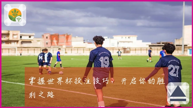 掌握世界杯投注技巧，开启你的胜利之路