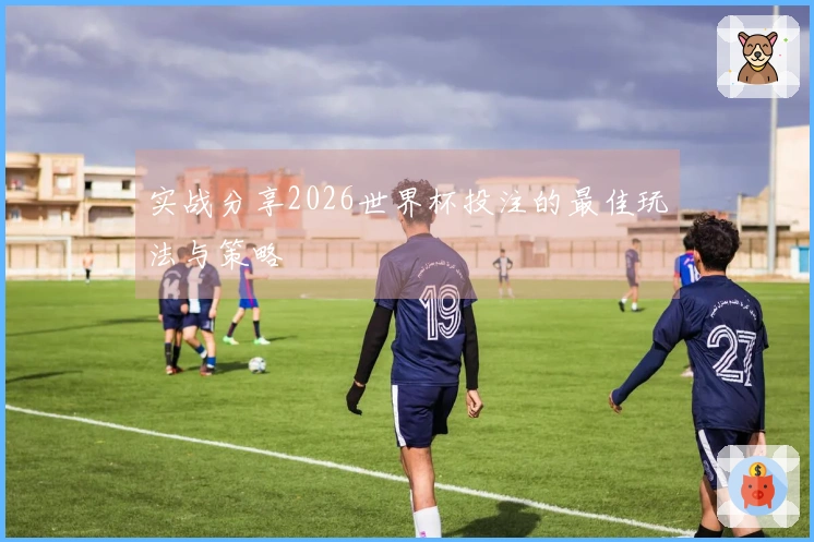 实战分享2026世界杯投注的最佳玩法与策略
